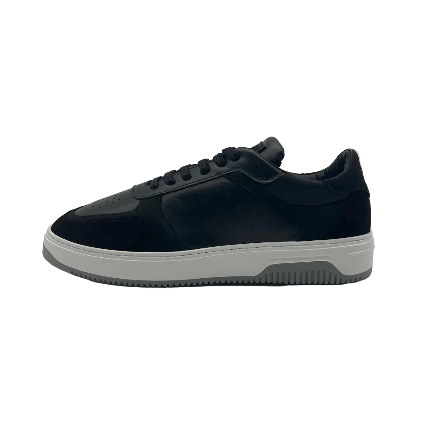 Pollini - 44  45